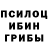 Галлюциногенные грибы прущие грибы Andrii Bibierov