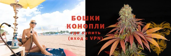 дурь Гусев