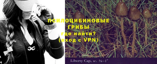бутират Лагань
