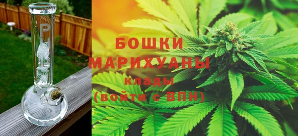 дурь Гусев